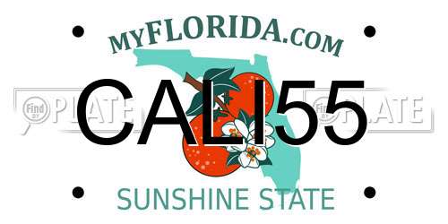 CALI55 Florida License Plate