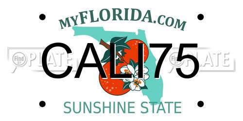 CALI75 Florida License Plate