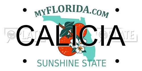 CALICIA Florida License Plate