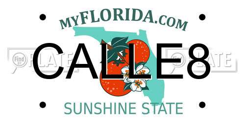 CALLE8 Florida License Plate