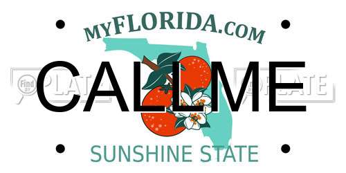 CALLME Florida License Plate