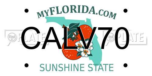 CALV70 Florida License Plate