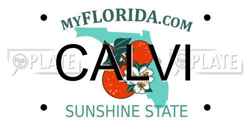CALVI Florida License Plate