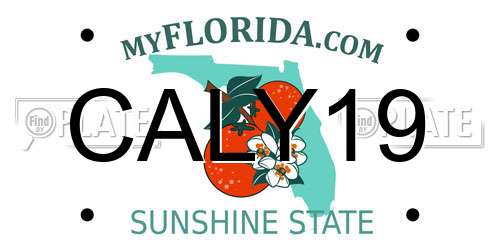 CALY19 Florida License Plate
