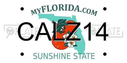 CALZ14 Florida License Plate
