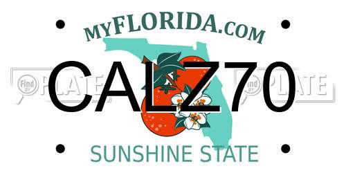 CALZ70 Florida License Plate