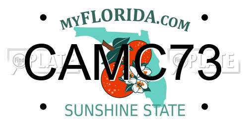 CAMC73 Florida License Plate