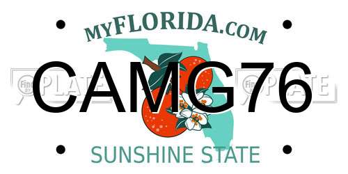 CAMG76 Florida License Plate