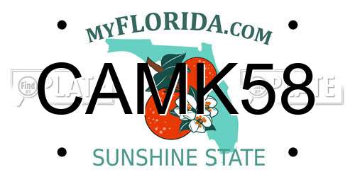 CAMK58 Florida License Plate