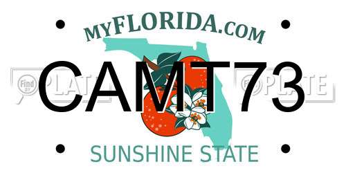 CAMT73 Florida License Plate
