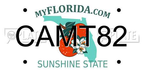 CAMT82 Florida License Plate