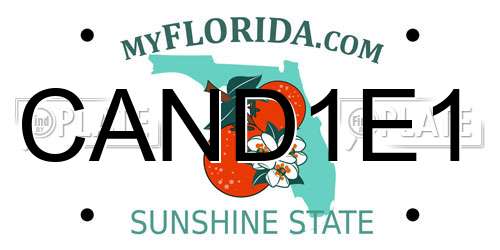 CAND1E1 Florida License Plate
