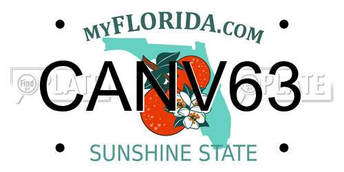 CANV63 Florida License Plate