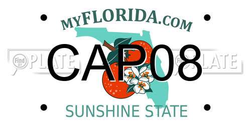 CAP08 Florida License Plate