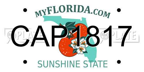 CAP1817 Florida License Plate