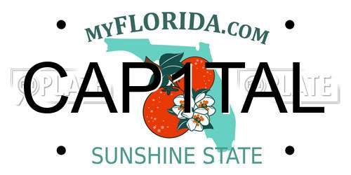 CAP1TAL Florida License Plate
