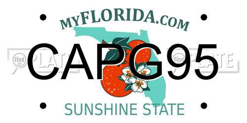 CAPG95 Florida License Plate