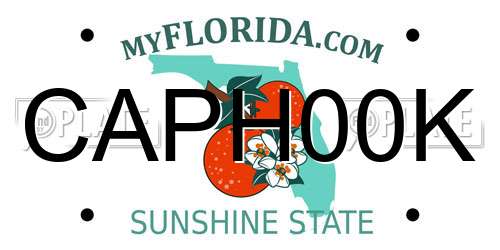 CAPH00K Florida License Plate