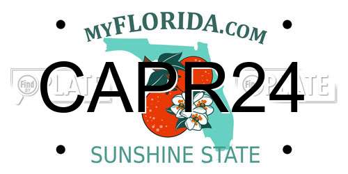 CAPR24 Florida License Plate