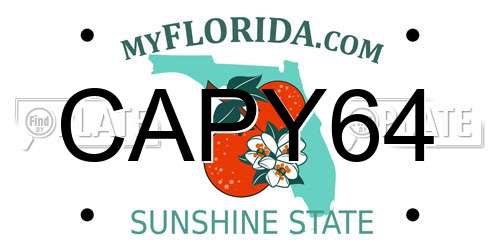 CAPY64 Florida License Plate