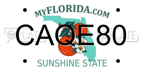 CAQE80 Florida License Plate