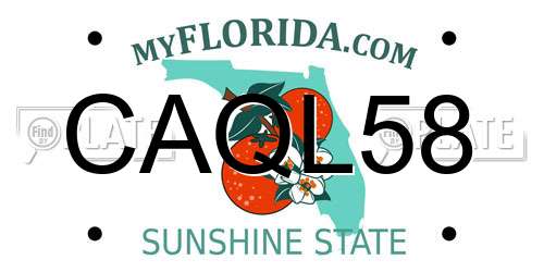 CAQL58 Florida License Plate