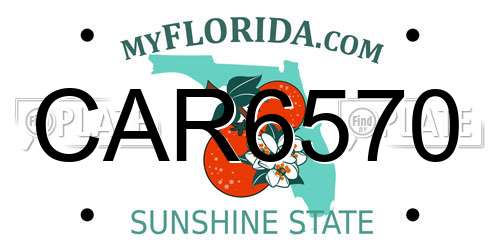 CAR6570 Florida License Plate