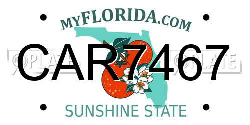 CAR7467 Florida License Plate