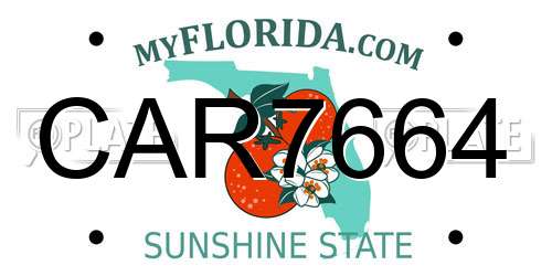 CAR7664 Florida License Plate