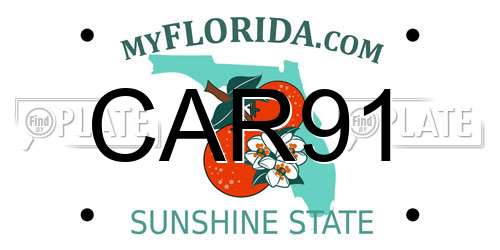 CAR91 Florida License Plate