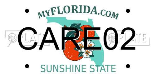 CARE02 Florida License Plate