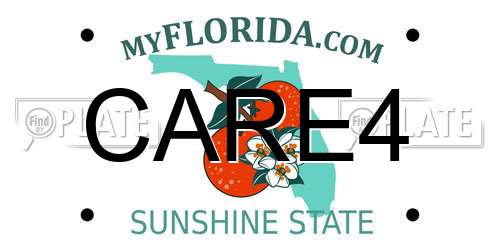 CARE4 Florida License Plate