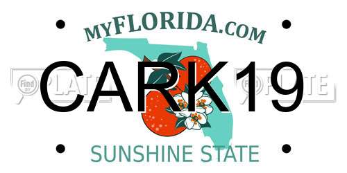 CARK19 Florida License Plate
