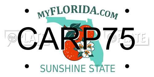 CARP75 Florida License Plate