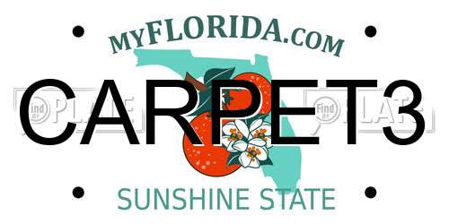 CARPET3 Florida License Plate