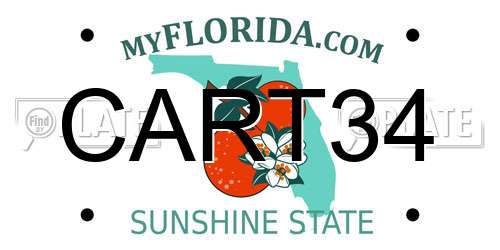 CART34 Florida License Plate