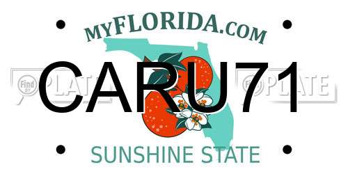 CARU71 Florida License Plate
