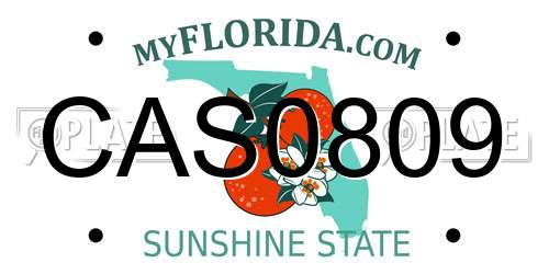 CAS0809 Florida License Plate