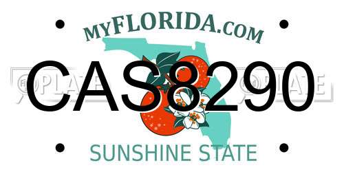 CAS8290 Florida License Plate