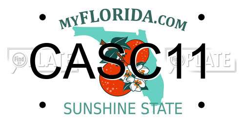 CASC11 Florida License Plate