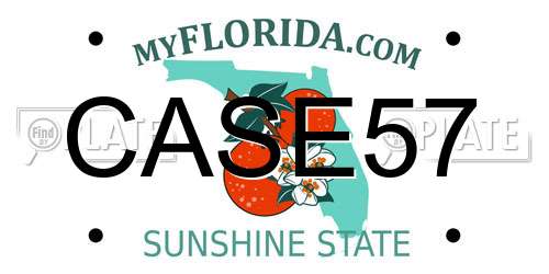 CASE57 Florida License Plate