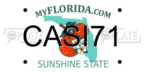 CASI71 Florida License Plate