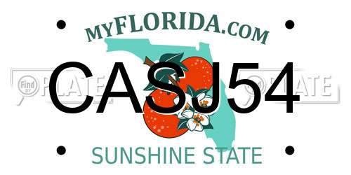 CASJ54 Florida License Plate