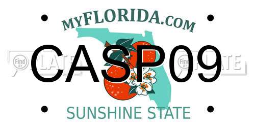 CASP09 Florida License Plate