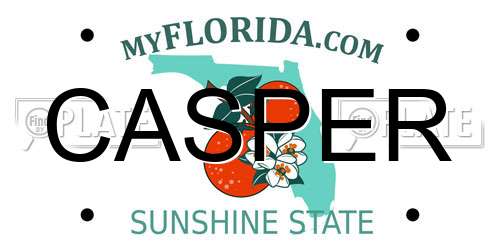 CASPER Florida License Plate