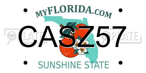 CASZ57 Florida License Plate