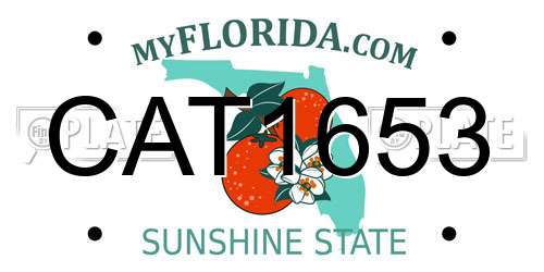 CAT1653 Florida License Plate
