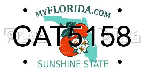 CAT5158 Florida License Plate