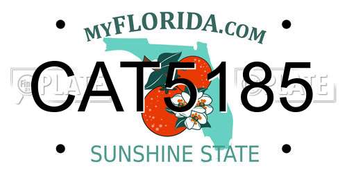 CAT5185 Florida License Plate