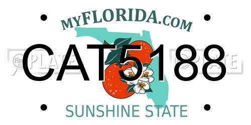CAT5188 Florida License Plate